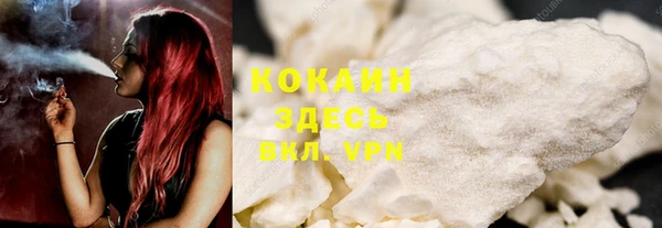 дживик Гусев