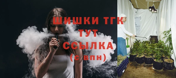 дживик Гусев